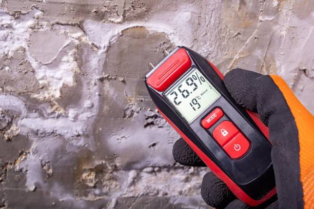Best Mold Removal Process  in Middlebury, IN