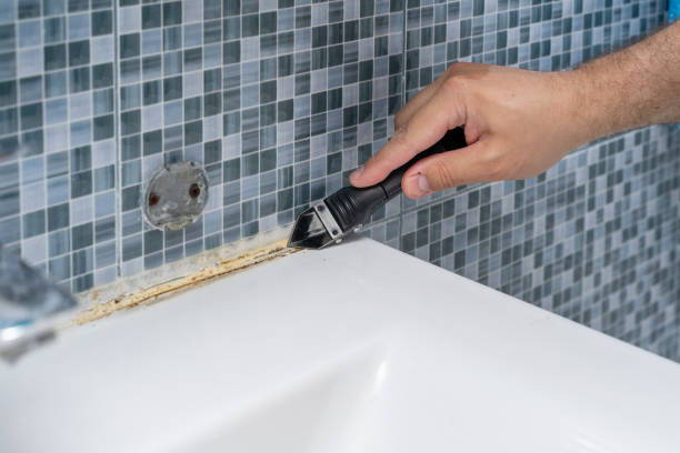Best Mold Remediation  in Middlebury, IN